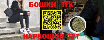 стафф Новодвинск
