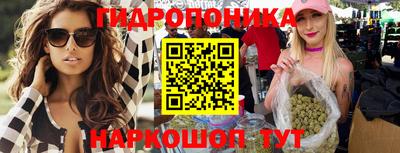 стафф Новодвинск