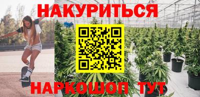 стафф Новодвинск