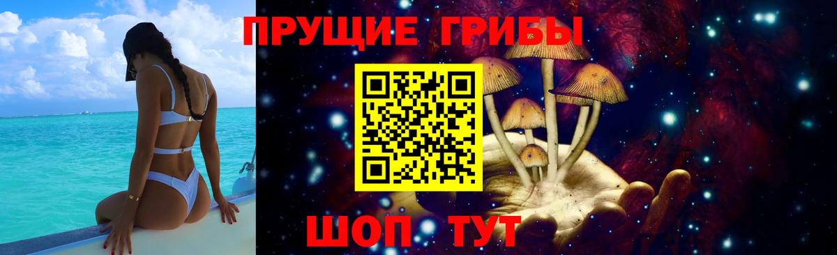 Галлюциногенные грибы Psilocybe  Вход с VPN  Сертолово 